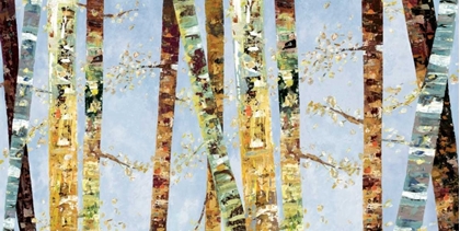 Picture of BARK ABSTRACT