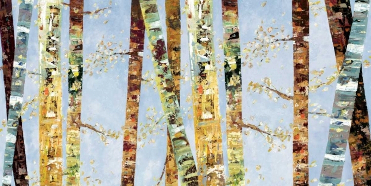Picture of BARK ABSTRACT