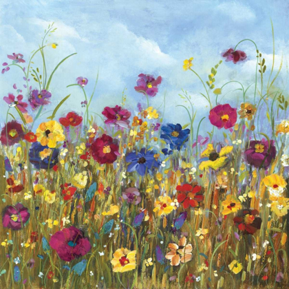Picture of SUNSHINE MEADOW II