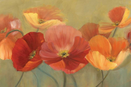 Picture of SUMMER POPPIES