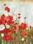 Picture of POPPIES IN THE WIND
