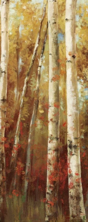 Picture of BIRCH FOREST I