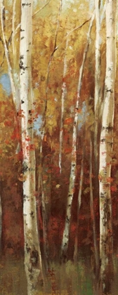 Picture of BIRCH FOREST II