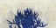 Picture of INK CORAL I