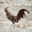 Picture of ROOSTER