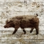 Picture of PIG