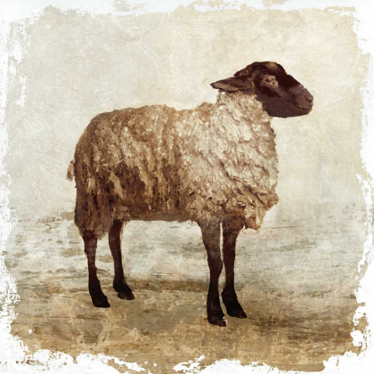 Picture of SHEEP WHITE BORDER