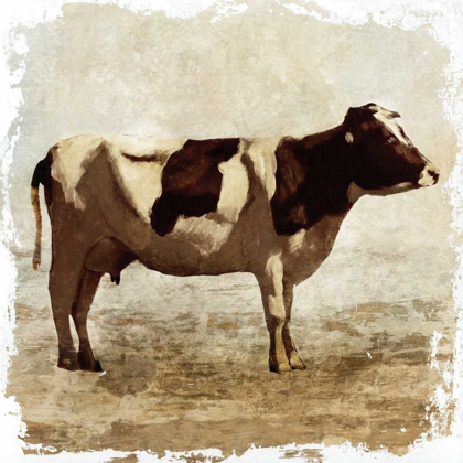 Picture of COW WHITE BORDER