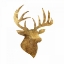 Picture of STAG SU
