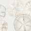 Picture of SEA PATTERNS I