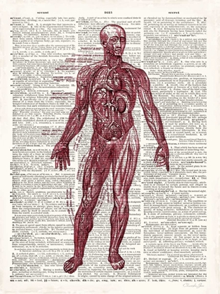 Picture of VINTAGE ANATOMY BOOK 