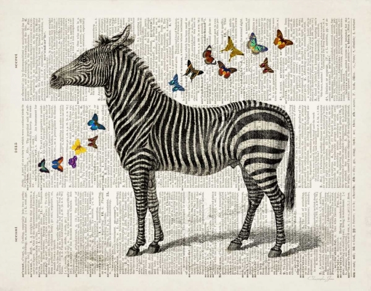 Somerset House Images. ZEBRA AND BUTTERFLIES