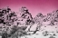 Picture of OMBRE ADVENTURE IV