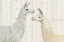 Picture of LLAMA LAND I