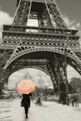 Picture of PARIS IN THE RAIN II