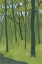 Picture of SPRING WOODS DARK GREEN