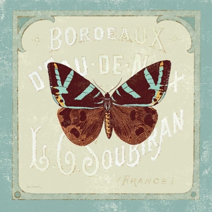 Picture of PARISIAN BUTTERFLY II