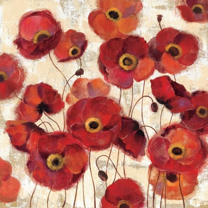 Picture of BOLD POPPIES