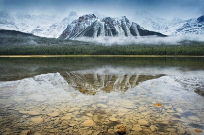 Picture of WATERFOWL LAKE I