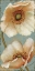 Picture of WINDFLOWER II