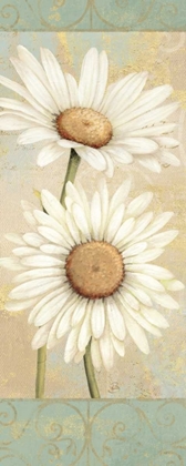 Picture of BEAUTIFUL DAISIES I