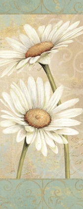 Picture of BEAUTIFUL DAISIES II