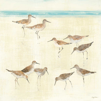 Picture of SANDPIPERS