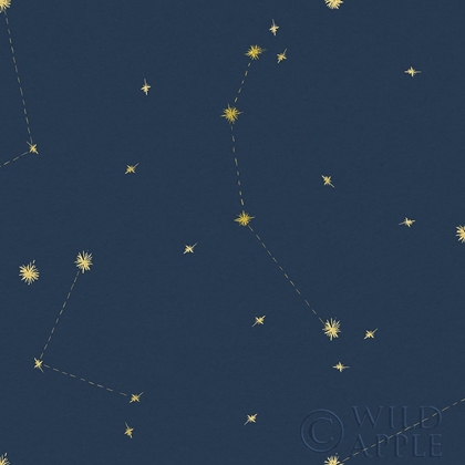 Picture of NIGHT SKY NAVY AND GOLD PATTERN 05AJPG