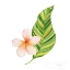 Picture of TREASURES OF THE TROPICS X