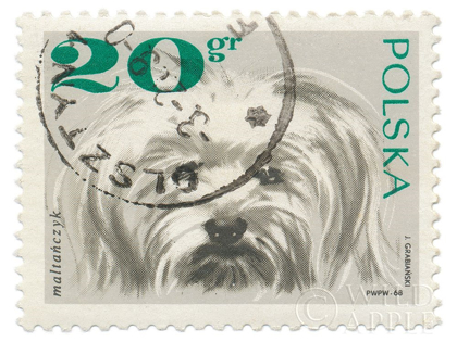 Picture of POLAND STAMP II ON WHITE
