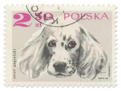 Picture of POLAND STAMP IV ON WHITE