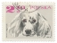Picture of POLAND STAMP IV ON WHITE