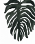 Picture of TROPICAL PALM II BW