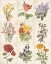 Picture of FLOWERS OF THE MONTH 9 PATCH