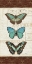 Picture of PAPILLONS I