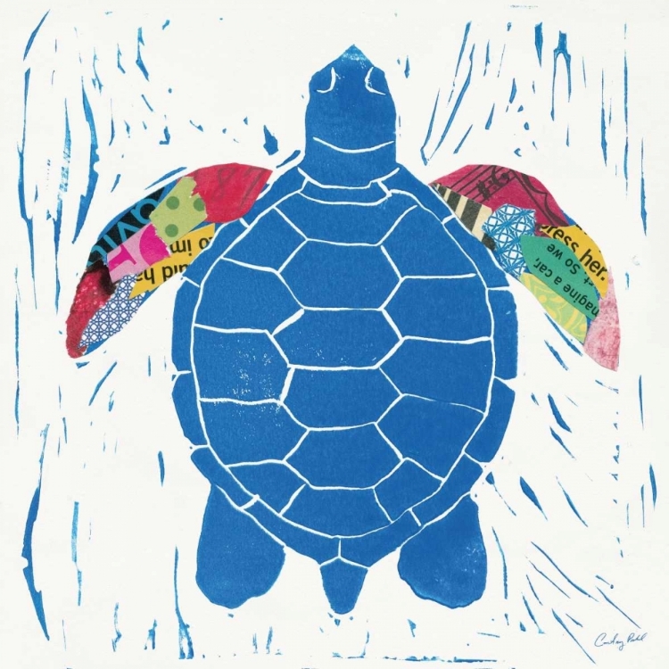 Picture of SEA CREATURE TURTLE COLOR