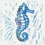 Picture of SEA CREATURE SEA HORSE COLOR