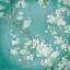 Picture of WHITE CHERRY BLOSSOMS II