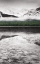 Picture of WATERFOWL LAKE PANEL III BW WITH COLOR
