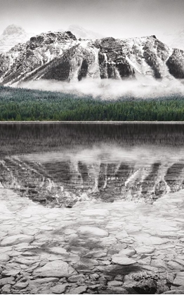 Picture of WATERFOWL LAKE PANEL II BW WITH COLOR