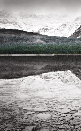 Picture of WATERFOWL LAKE PANEL I BW WITH COLOR