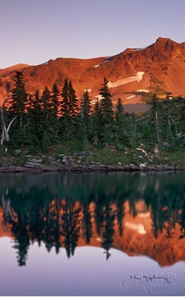 Picture of MOUNT JEFFERSON PANEL I