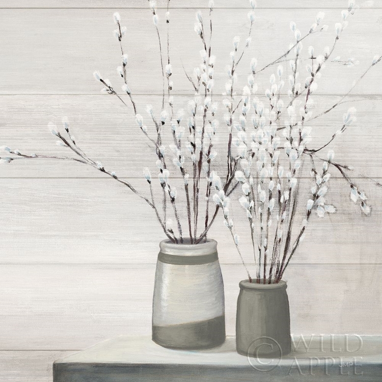 Picture of PUSSY WILLOW STILL LIFE GRAY POTS SHIPLAP