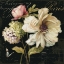 Picture of MARCHE DE FLEURS ON BLACK II