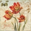 Picture of EUROPEAN FLOWERS II