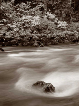 Picture of NOOKSACK RIVER NORTH CASCADES