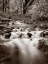 Picture of WAHKEENA CREEK