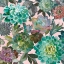 Picture of FLORAL SUCCULENTS V2 CROP ON PINK