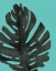 Picture of TROPICAL PALM I BW TURQUOISE