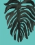 Picture of TROPICAL PALM II BW TURQUOISE